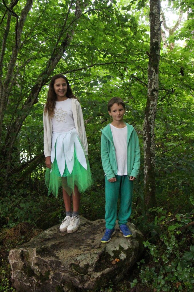 Agrandir l'image, fenêtre modale