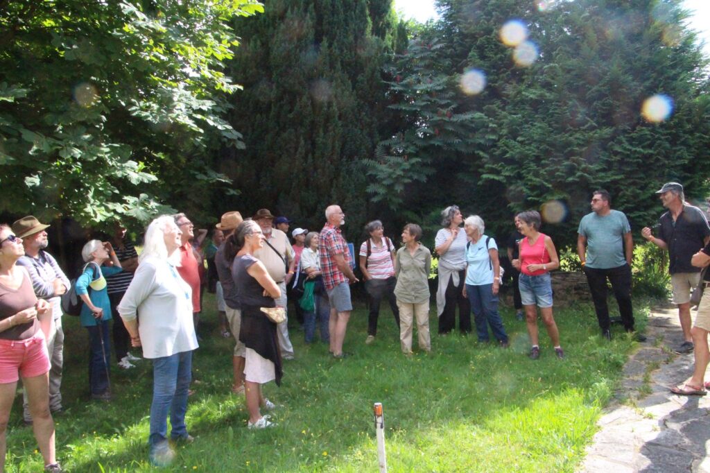 Agrandir l'image, fenêtre modale