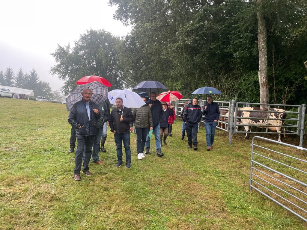 Agrandir l'image, fenêtre modale