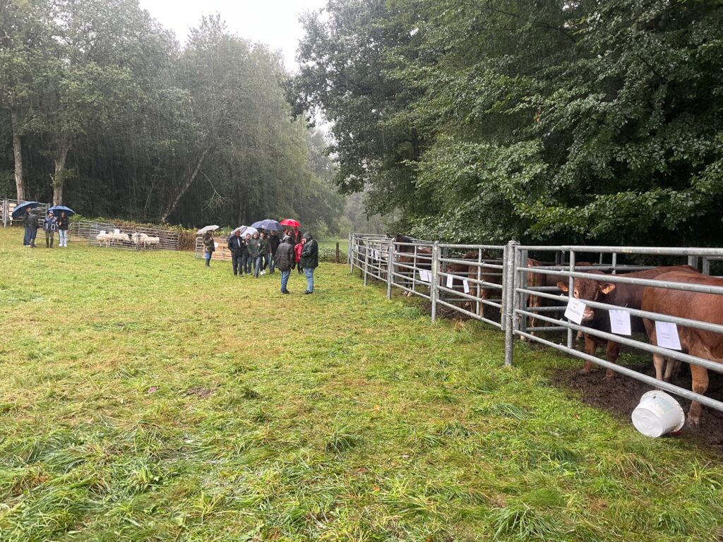 Agrandir l'image, fenêtre modale